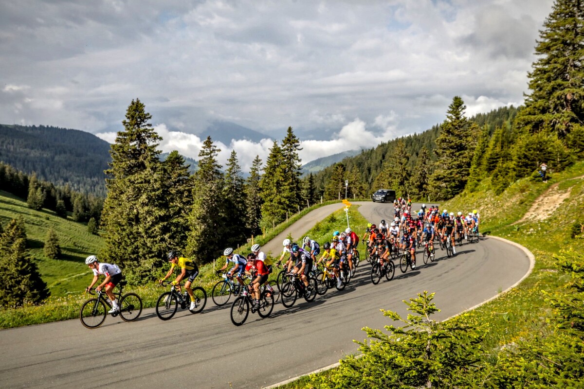 Granfondo Majestic