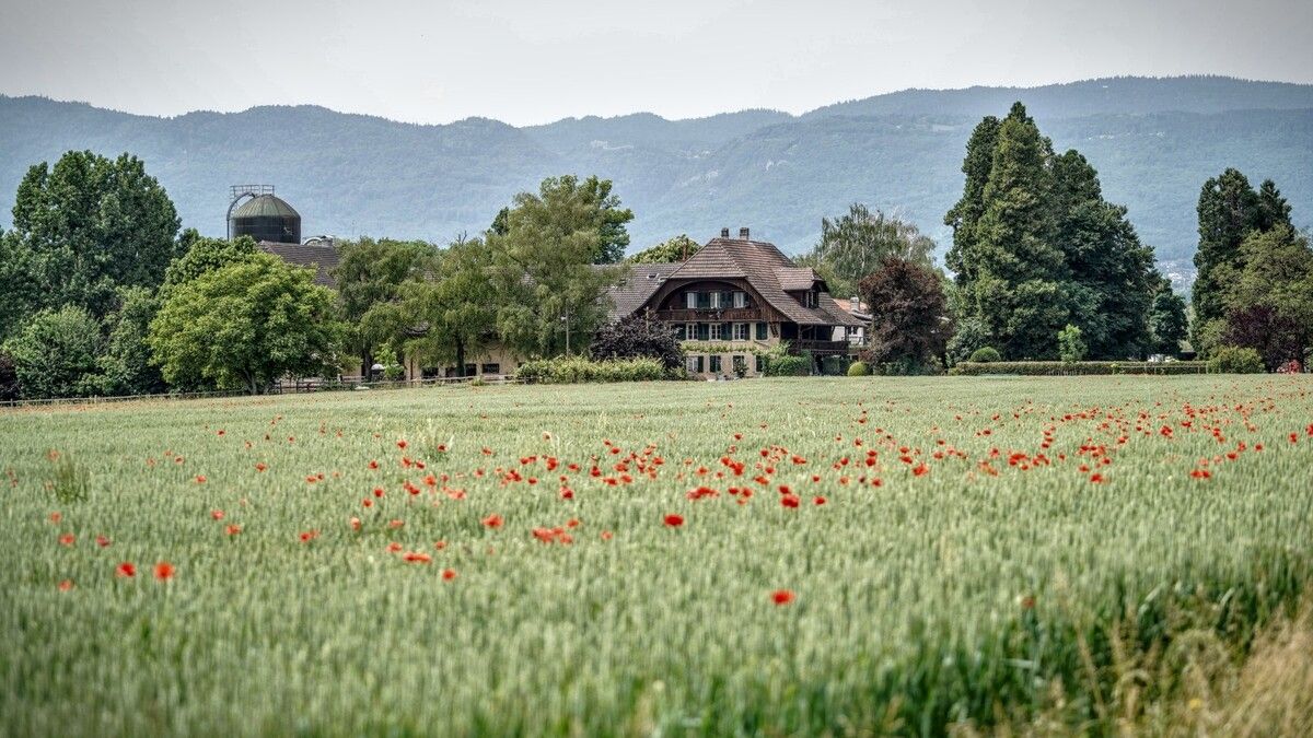 Cyclotour du Léman gallery image 8